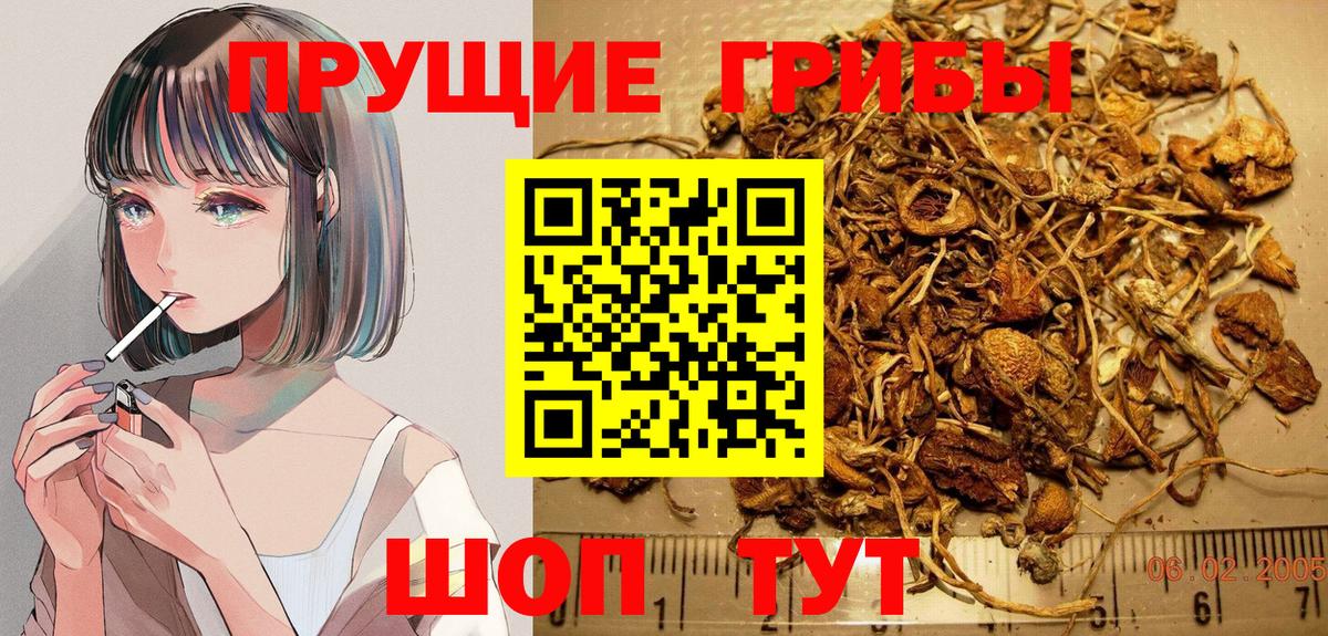 продажа наркотиков  Вход с VPN  Галлюциногенные грибы Magic Shrooms  Губаха  Псилоцибиновые грибы Psilocybe 